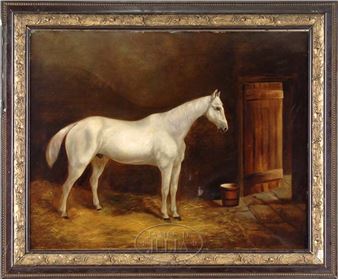 HIGHLAND NELSON - Daniel Lloyd