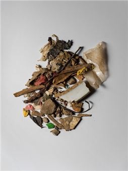 Sacred Dust: Photographs by Henry Leutwyler - Foley Gallery