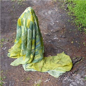 Devin Harclerode: Soft Body, No Limbs - Tiger Strikes Asteroid, Greenville