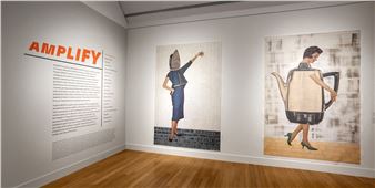 Amplify - Virginia Museum of Contemporary Art