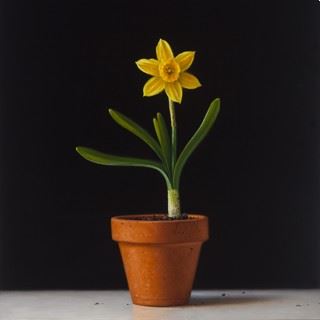 Small Works Exhibition - Gallery 1261