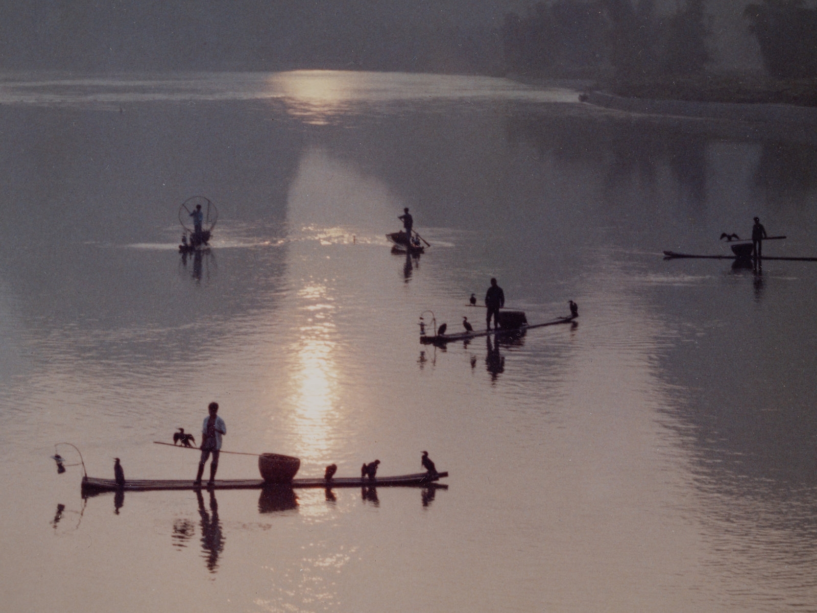 Keith Liang | Fishing in Fall at Li River | MutualArt