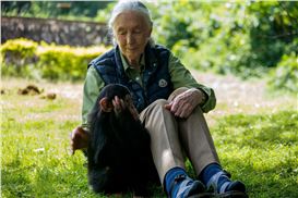 Learn the Life of Dr. Jane Goodall in This Immersive Multimedia Experience
