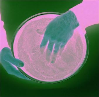 David Roth: Imagine - Bildraum 01