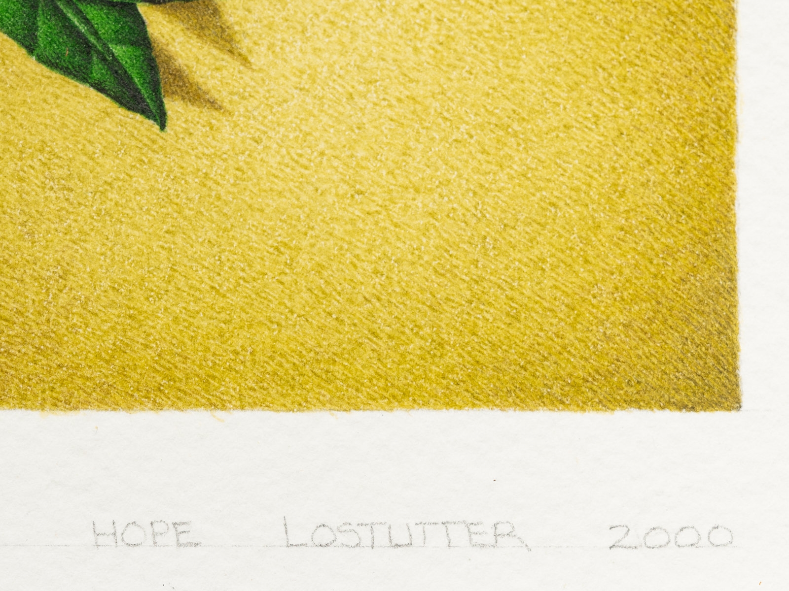 Robert Lostutter | Hope (2000) | MutualArt
