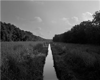 Your Concise New York Art Guide for September 2021