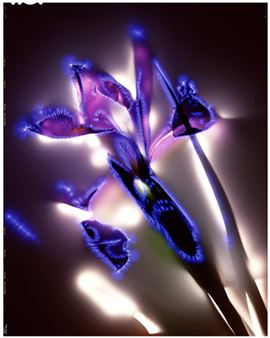 Elements of Nature: Cornerstone - Slate Contemporary