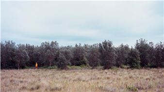 This Is Gippsland - Gippsland Art Gallery