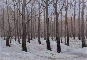 Forest - Nicholas Tempeanu