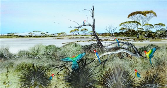 Coorong Rosella by Rob Taylor, 1986