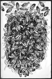 Marit Berg:  Birds and Bees - Core Gallery