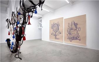 L’Anatomia Del Cavallo