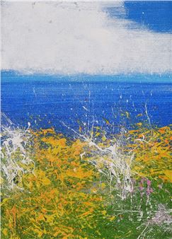 SUMMER COLOURS - Carmel Sheilds