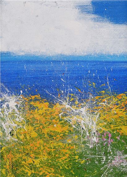 SUMMER COLOURS - Carmel Sheilds