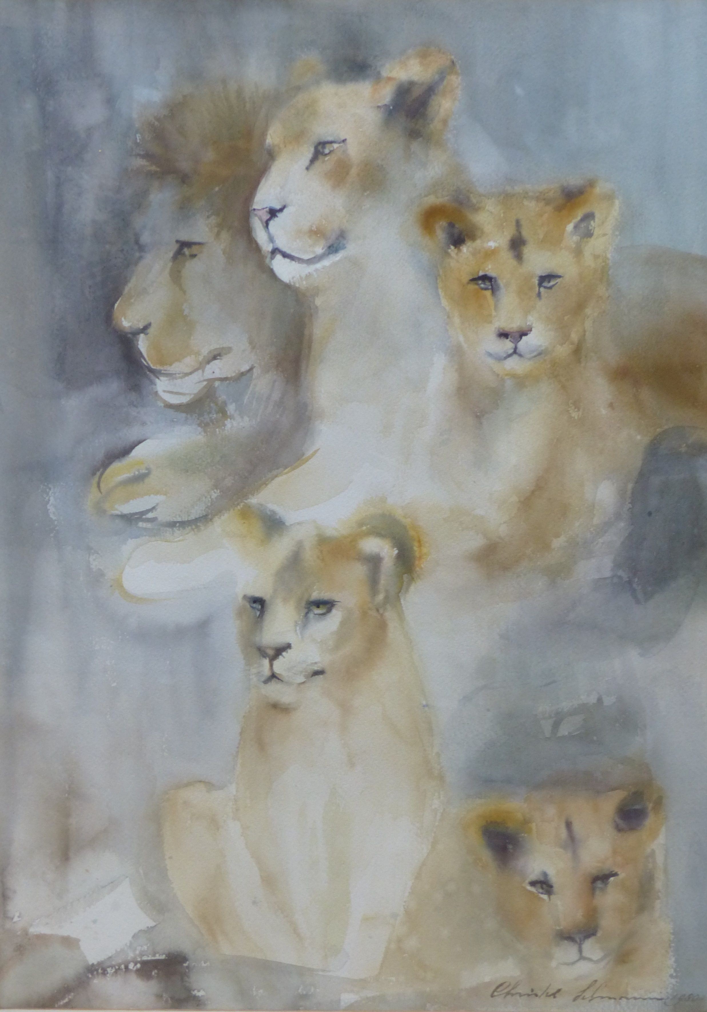 Artwork by Crislett Lehmann, Study of lions, Made of watercolour