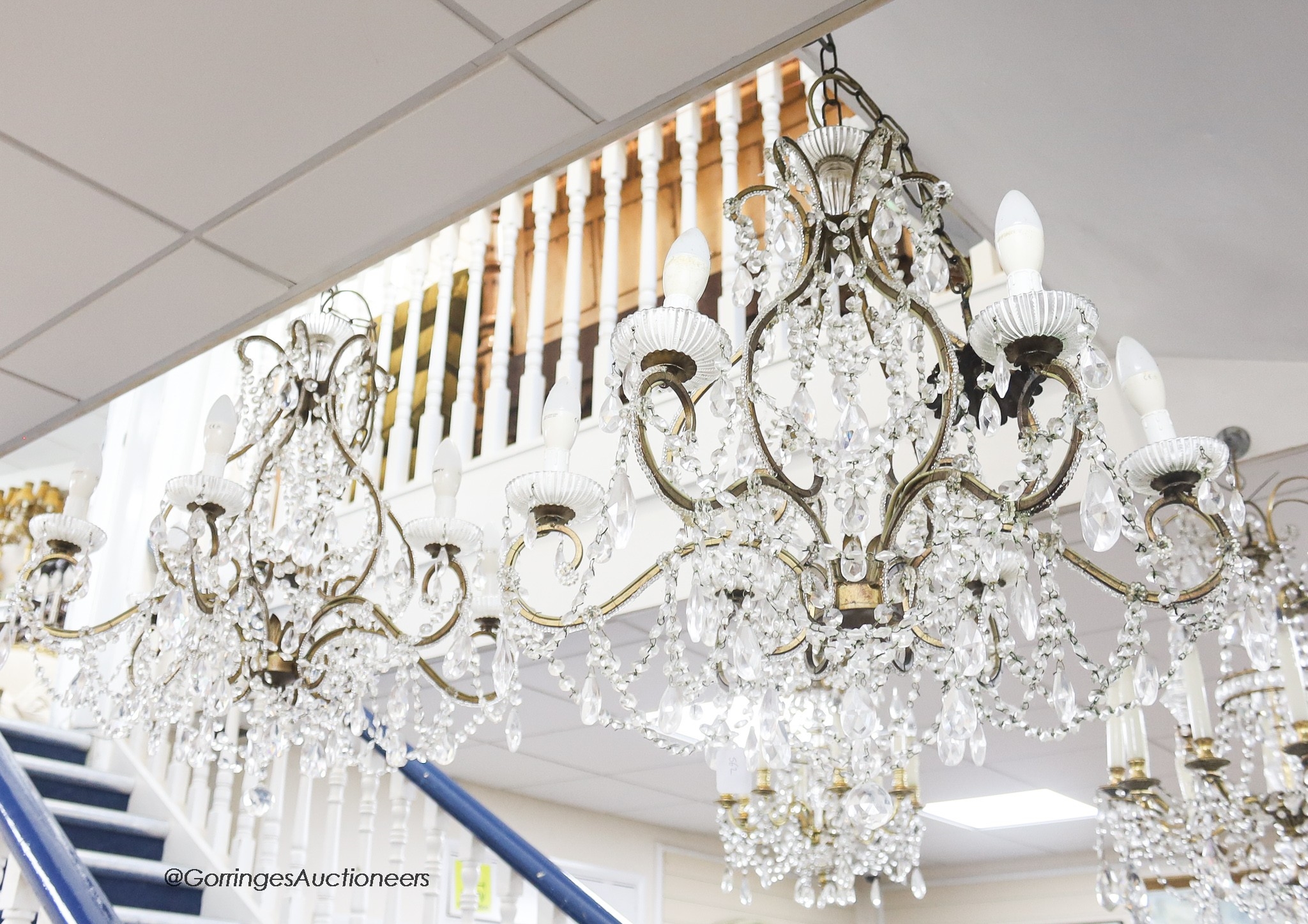 Artwork by Crislett Lehmann, Study of lions, Made of watercolour