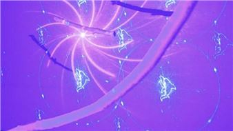 Žaneta Zukalová - Czech Centre London