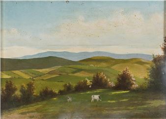 Paesaggio collinare - Salvatore Topi