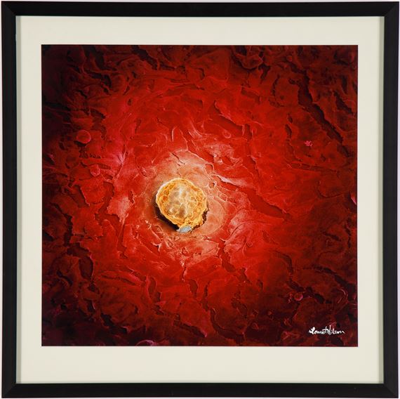 Impregnated human egg cell by Lennart Nilsson, 1990