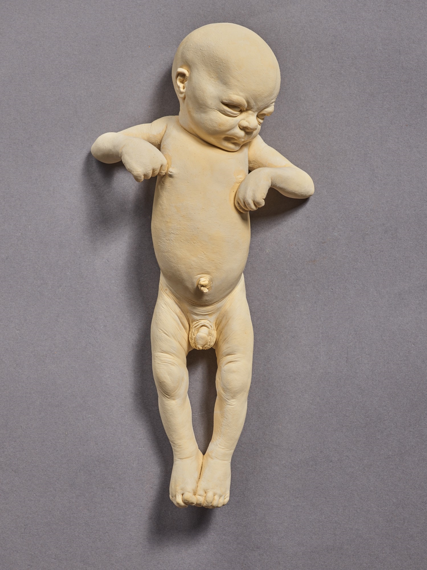 Artwork by Ron Mueck, Untitled (Baby), Made of plaster