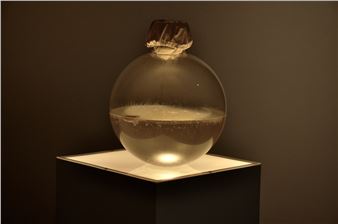 Drip Dry: Our Relationship with Water