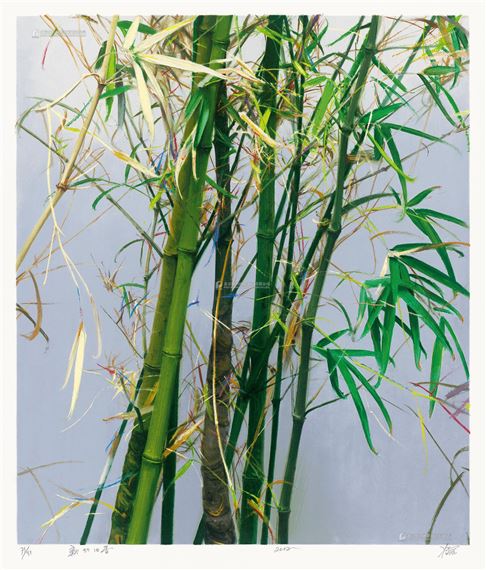 BAMBOO by Leng Jun, Printed in 2012