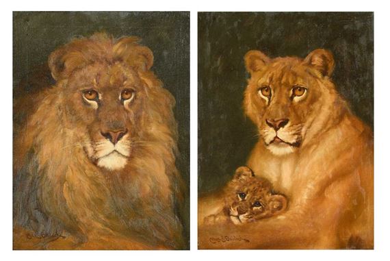 A lion; and A lioness with her cub by Charles Edwin M. Baldock