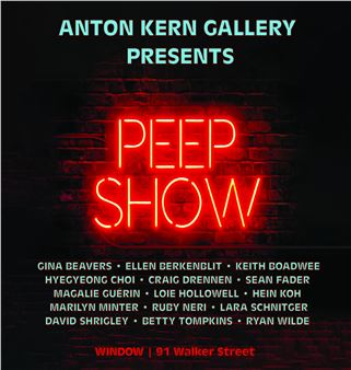 Peep Show - Anton Kern Gallery (Window)