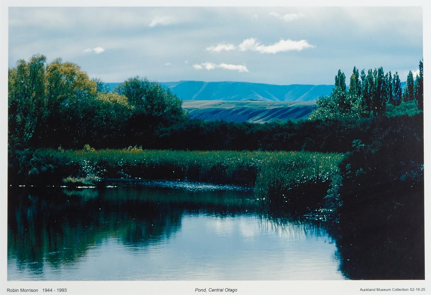 Pond, Central Otago by Robin Morrison