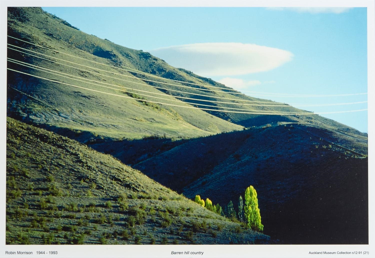 Robin Morrison | Barren Hill Country | MutualArt