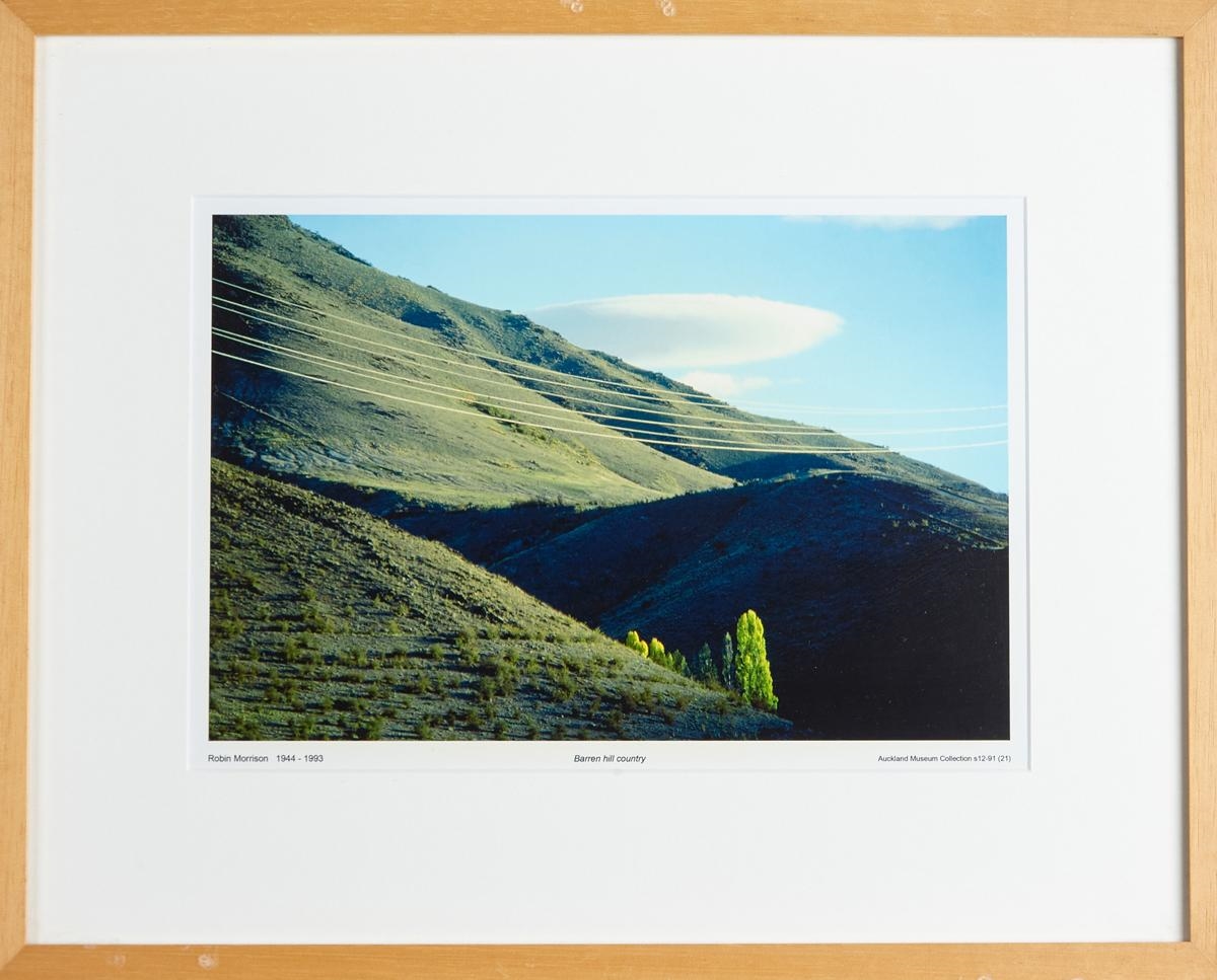 Robin Morrison | Barren Hill Country | MutualArt