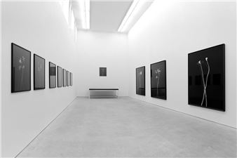 Axel Hütte: Traces: London – Berlin - Daniel Marzona