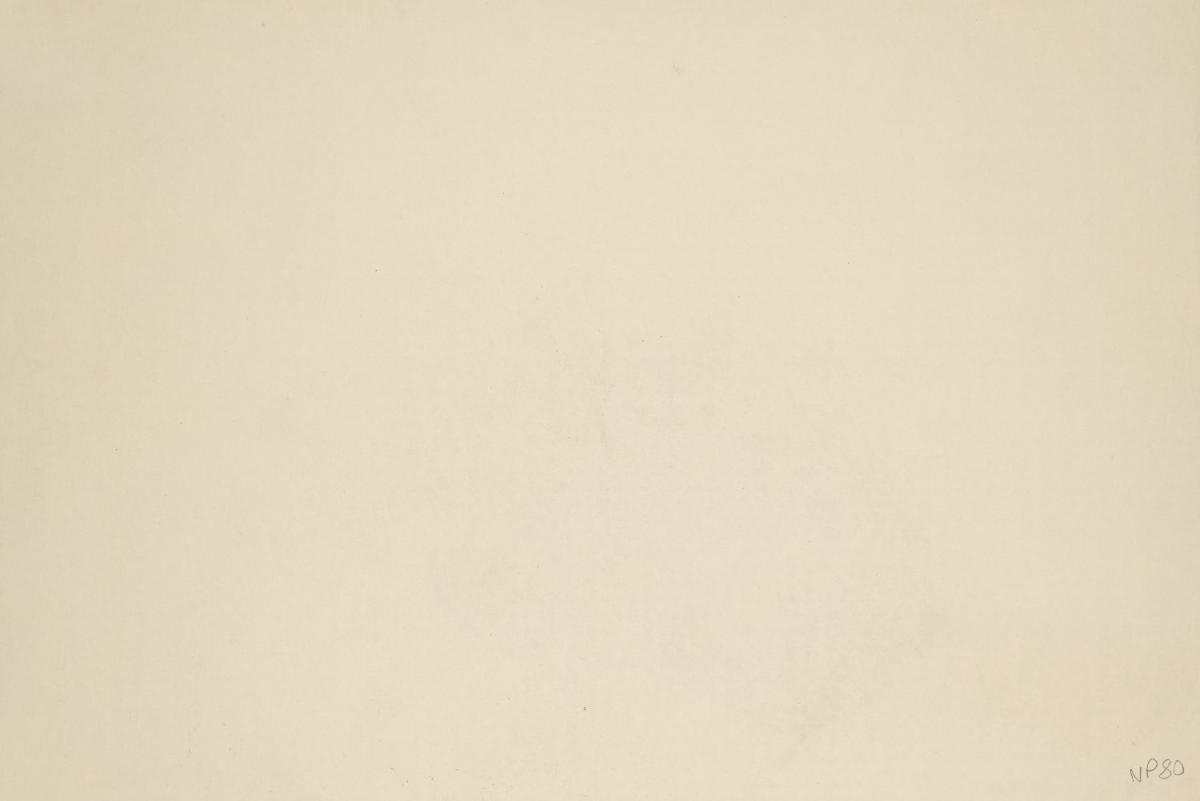 Artwork by Nicholas Pope, Untitled, Made of charcoal on paper