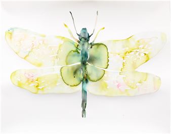 Kim McCarty - Iris Project
