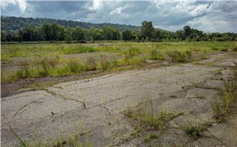 ArtYard’s Living Exhibition Unfolds in Real Time in New Jersey