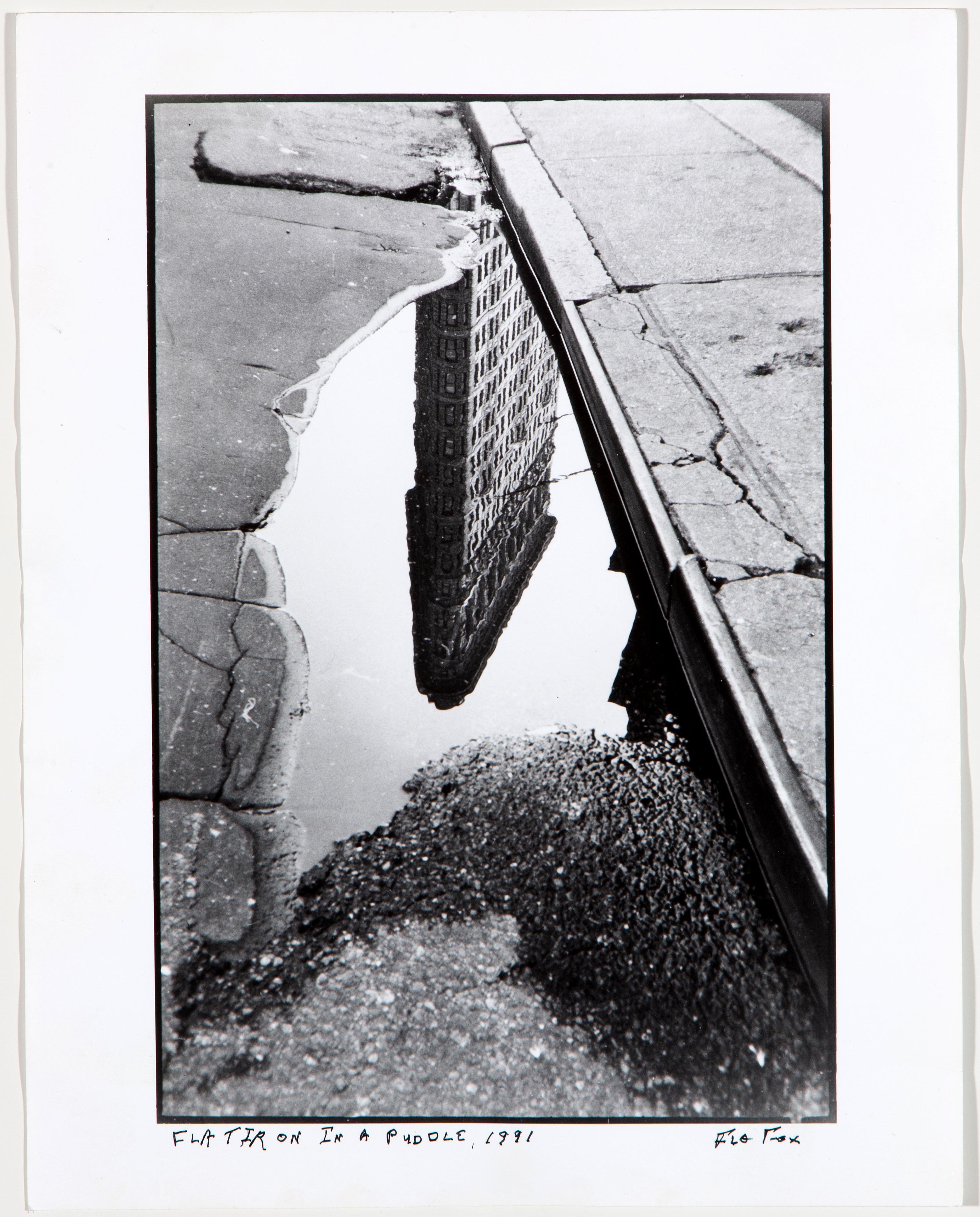 Flo Fox | Flat Iron In a Puddle (1991) | MutualArt