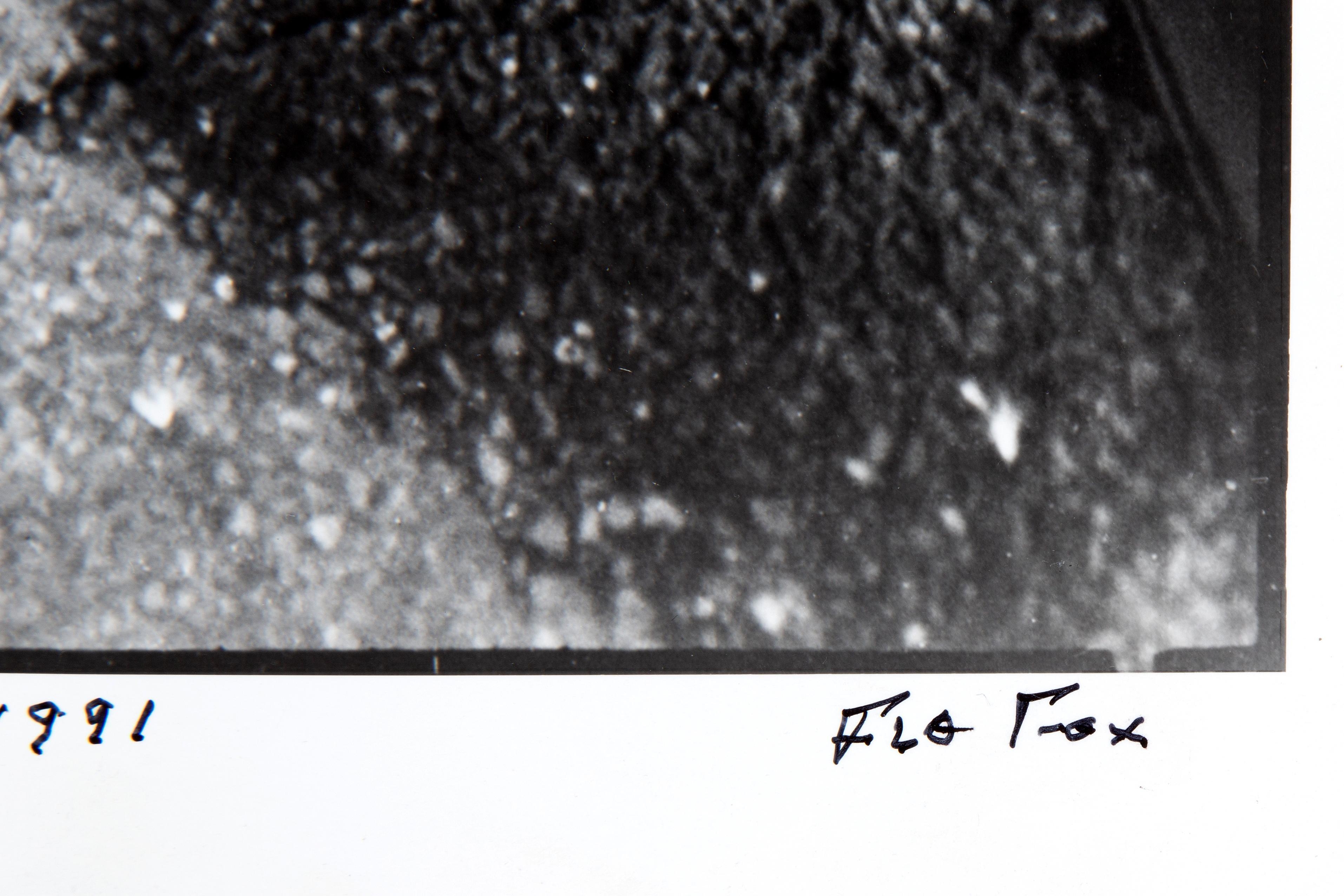 Flo Fox | Flat Iron In a Puddle (1991) | MutualArt