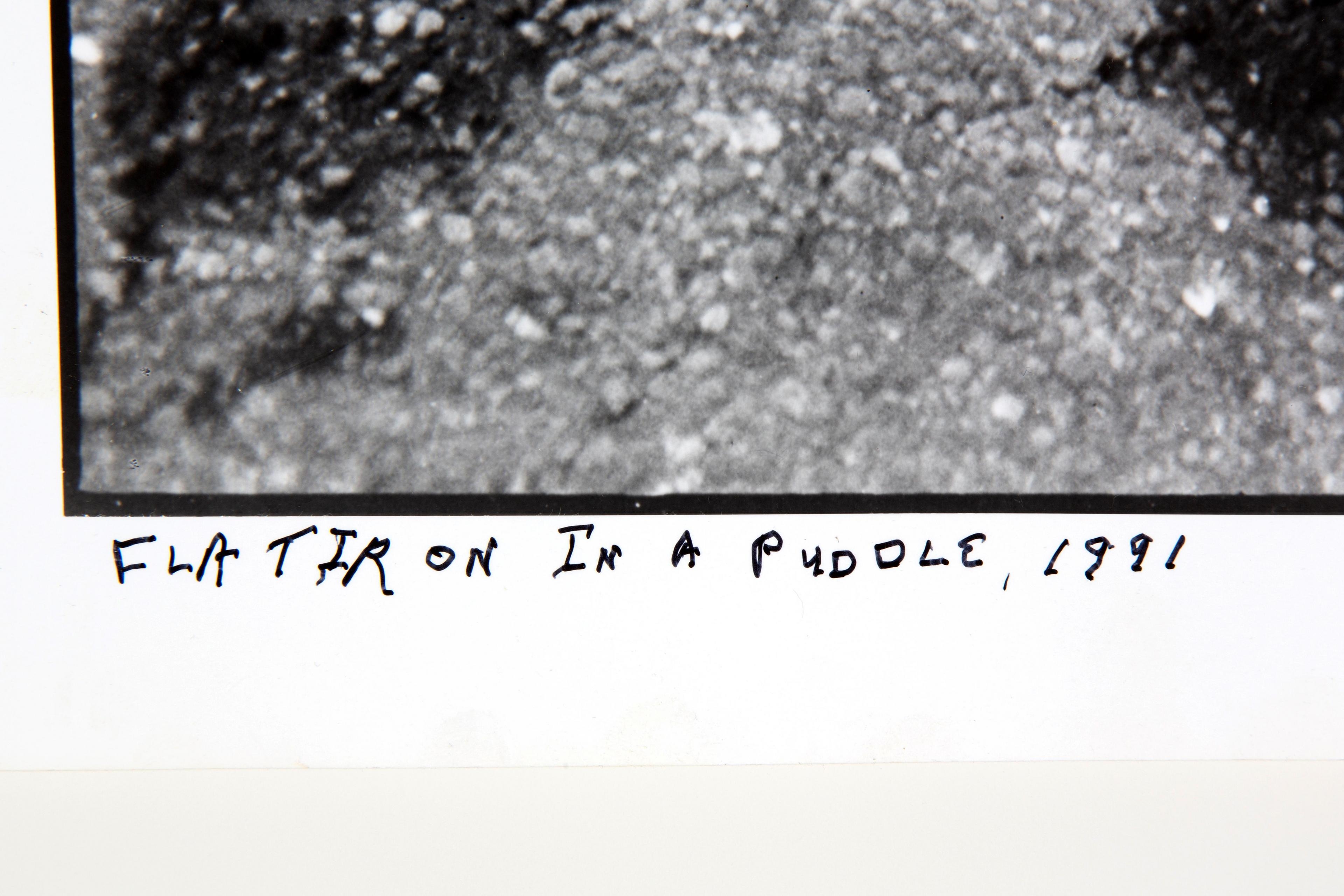 Flo Fox | Flat Iron In a Puddle (1991) | MutualArt