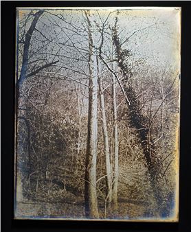 Untitled - Binh Danh