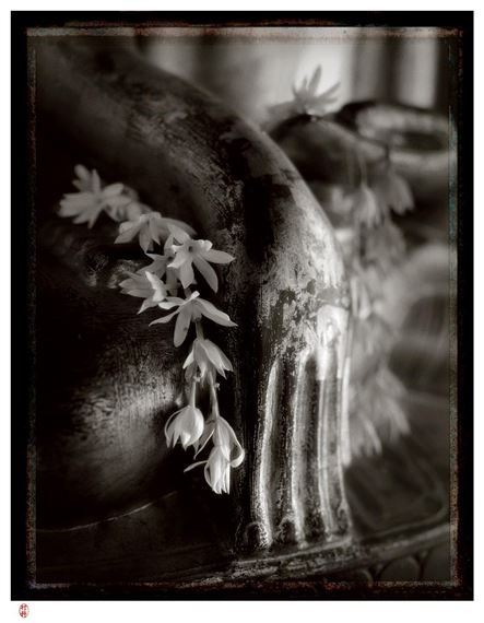 Touching Earth: Hand of Buddha by Rick Murai, 2004