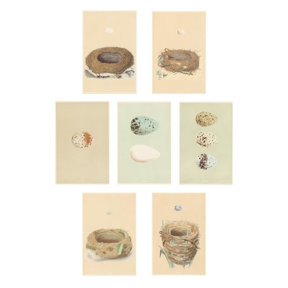 Seven Antique Prints from F. O. Morris' A Natural History of the Nests and Eggs of British Birds by Francis Orpen Morris, 19th century