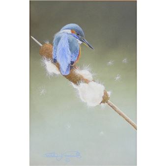 Kingfisher on Bullrush - David Prescott
