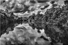 Salgado’s ‘Amazonia’ Seeks to Save a World