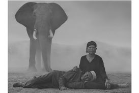 Atlas Gallery Exhibits Works Photographed by Nick Brandt During the Global Pandemic in Late 2020