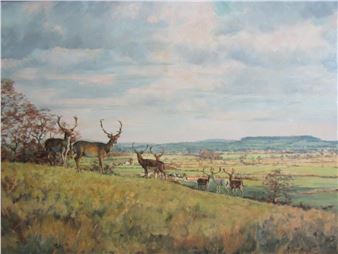 Berkeley Stags - extensive landscape setting - Peter Donnithorne