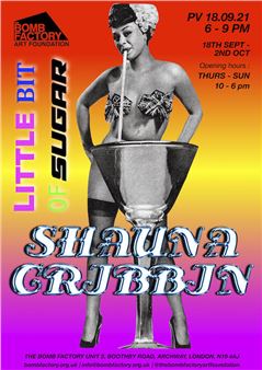Shauna Cribbin: Little Bit of Sugar - The Bomb Factory Art Foundation, Archway