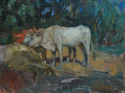 BUOI by Paolo Ghiglia