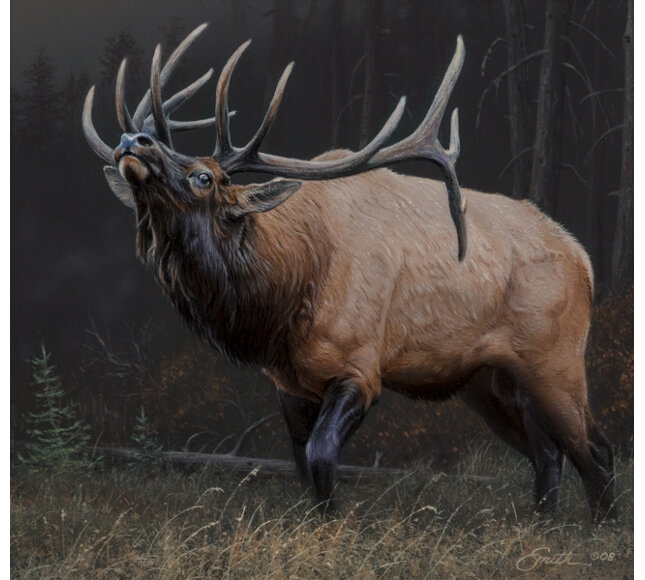 Daniel Smith | Display of Dominance (2008) | MutualArt