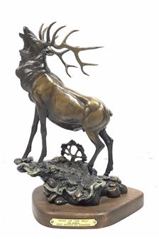 King Of The Hill - Tim Sullium