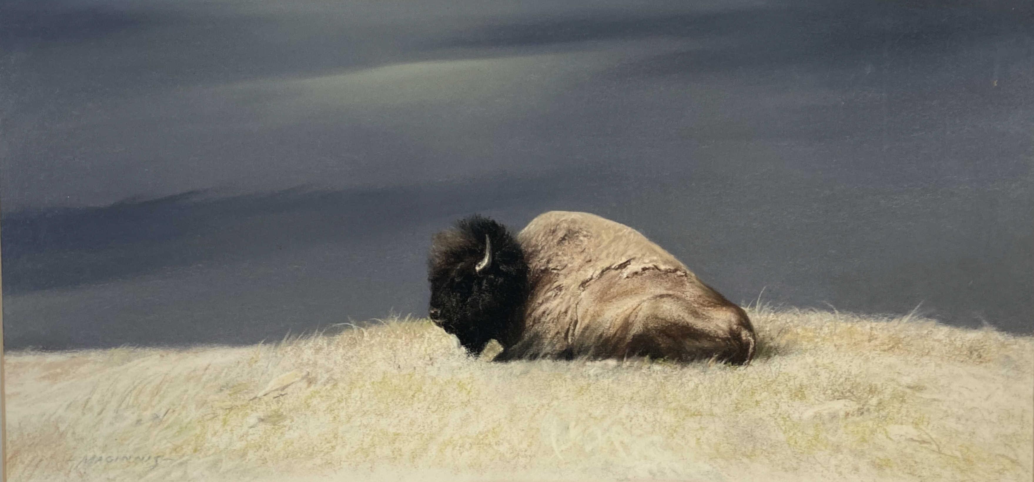 Artwork by John Brooke Maginnis, Buffalo In A Field, Made of Pastel On Paper